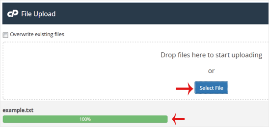 How to Upload Files via the cPanel File Manager — 4