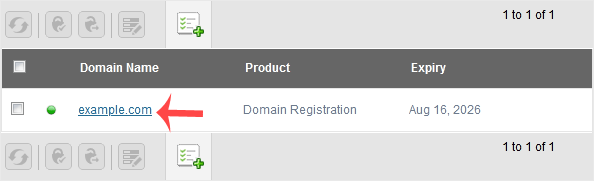 How to Update the DNS Nameservers at NetEarthOne or LogicBoxes-Based Registrars — 2
