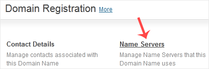 How to Update the DNS Nameservers at NetEarthOne or LogicBoxes-Based Registrars — 3